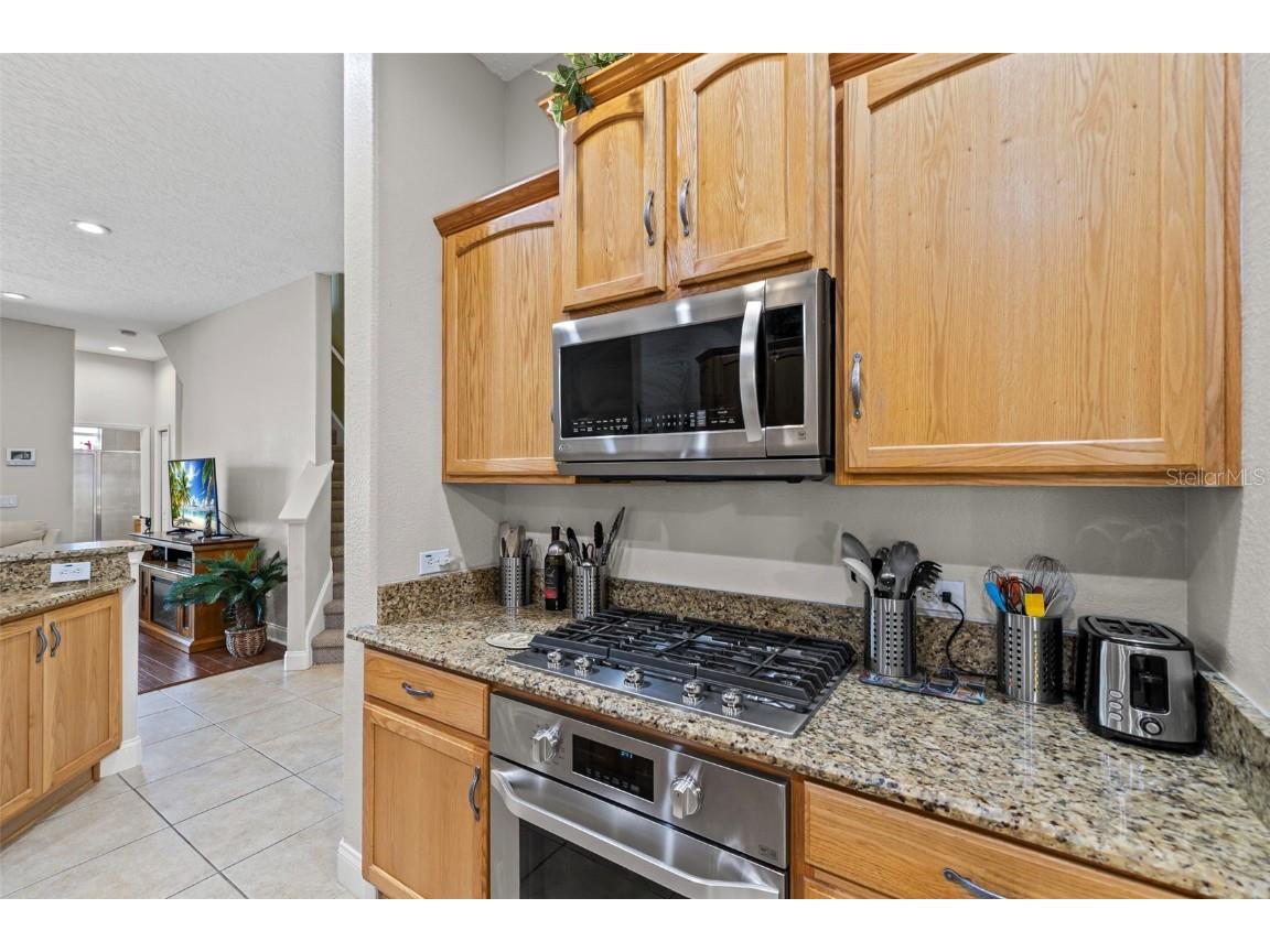 3041 Stonegate Falls Drive Land O Lakes FL 34638 W7879294 image24