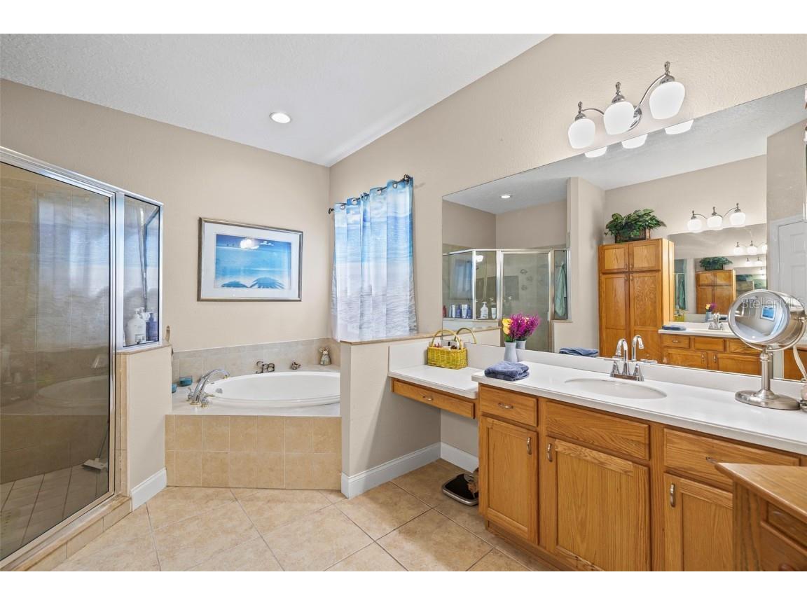 3041 Stonegate Falls Drive Land O Lakes FL 34638 W7879294 image29