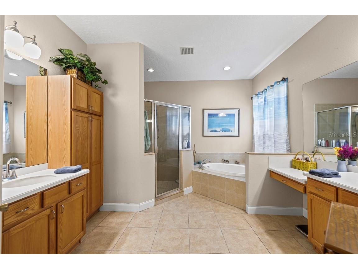 3041 Stonegate Falls Drive Land O Lakes FL 34638 W7879294 image30