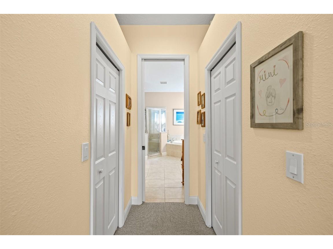 3041 Stonegate Falls Drive Land O Lakes FL 34638 W7879294 image41