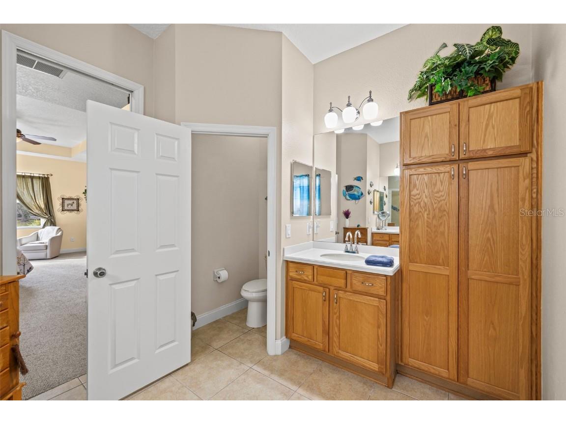 3041 Stonegate Falls Drive Land O Lakes FL 34638 W7879294 image42