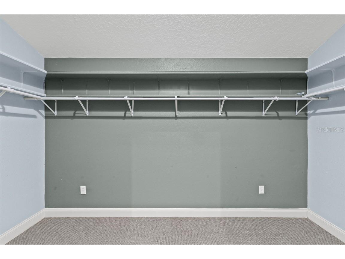 3041 Stonegate Falls Drive Land O Lakes FL 34638 W7879294 image47