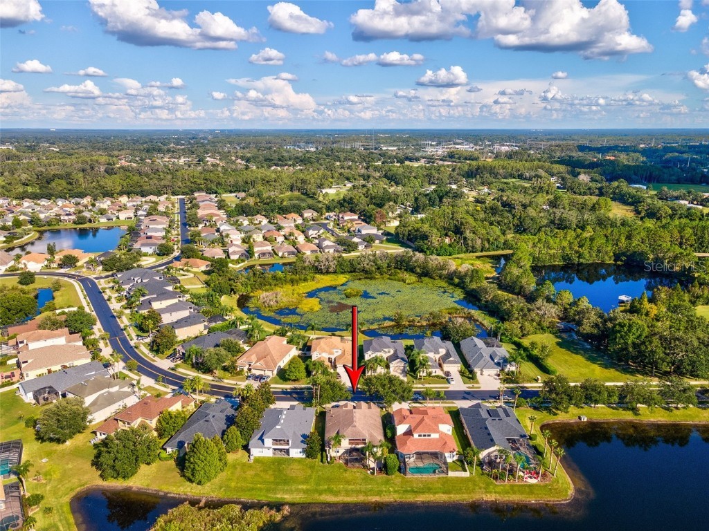 3041 Stonegate Falls Drive Land O Lakes FL 34638 W7879294 image55