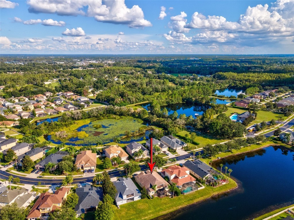 3041 Stonegate Falls Drive Land O Lakes FL 34638 W7879294 image56