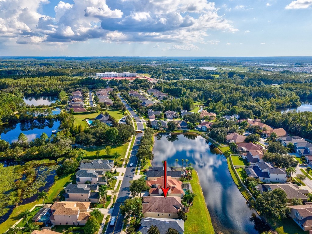 3041 Stonegate Falls Drive Land O Lakes FL 34638 W7879294 image57