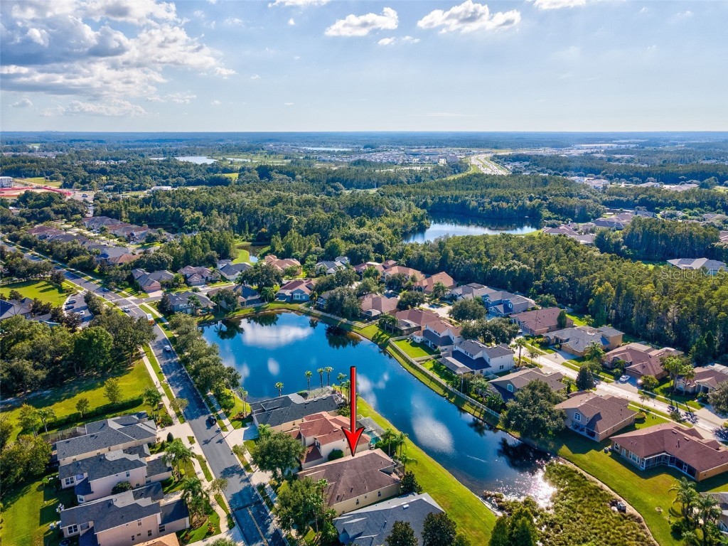 3041 Stonegate Falls Drive Land O Lakes FL 34638 W7879294 image58