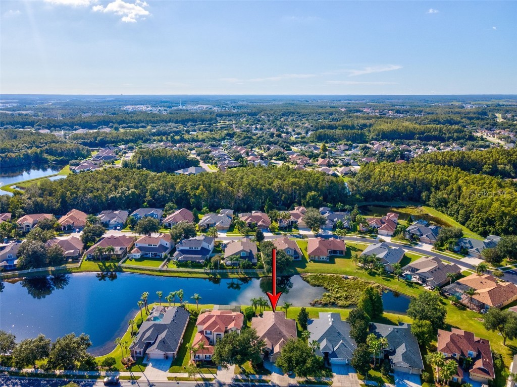 3041 Stonegate Falls Drive Land O Lakes FL 34638 W7879294 image59