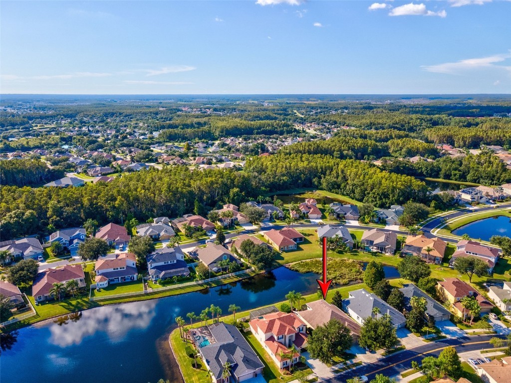 3041 Stonegate Falls Drive Land O Lakes FL 34638 W7879294 image60