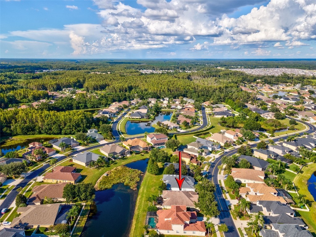 3041 Stonegate Falls Drive Land O Lakes FL 34638 W7879294 image61