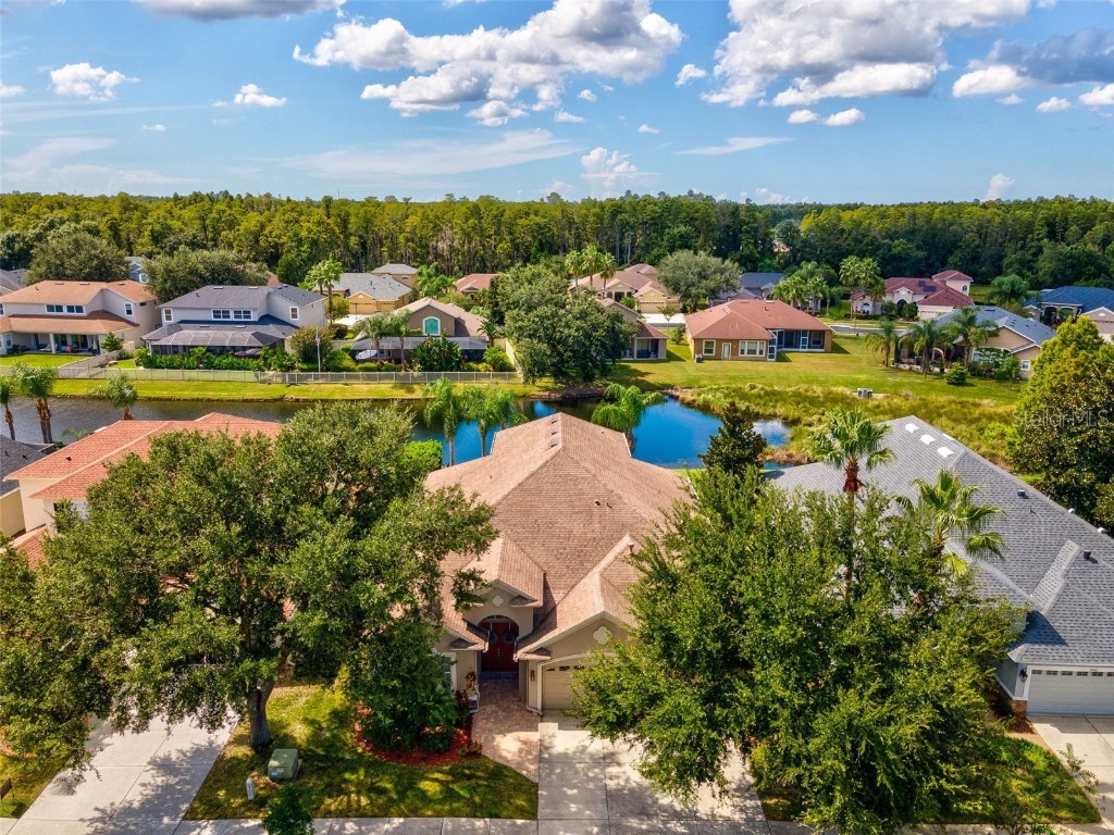 3041 Stonegate Falls Drive Land O Lakes FL 34638 W7879294 image62