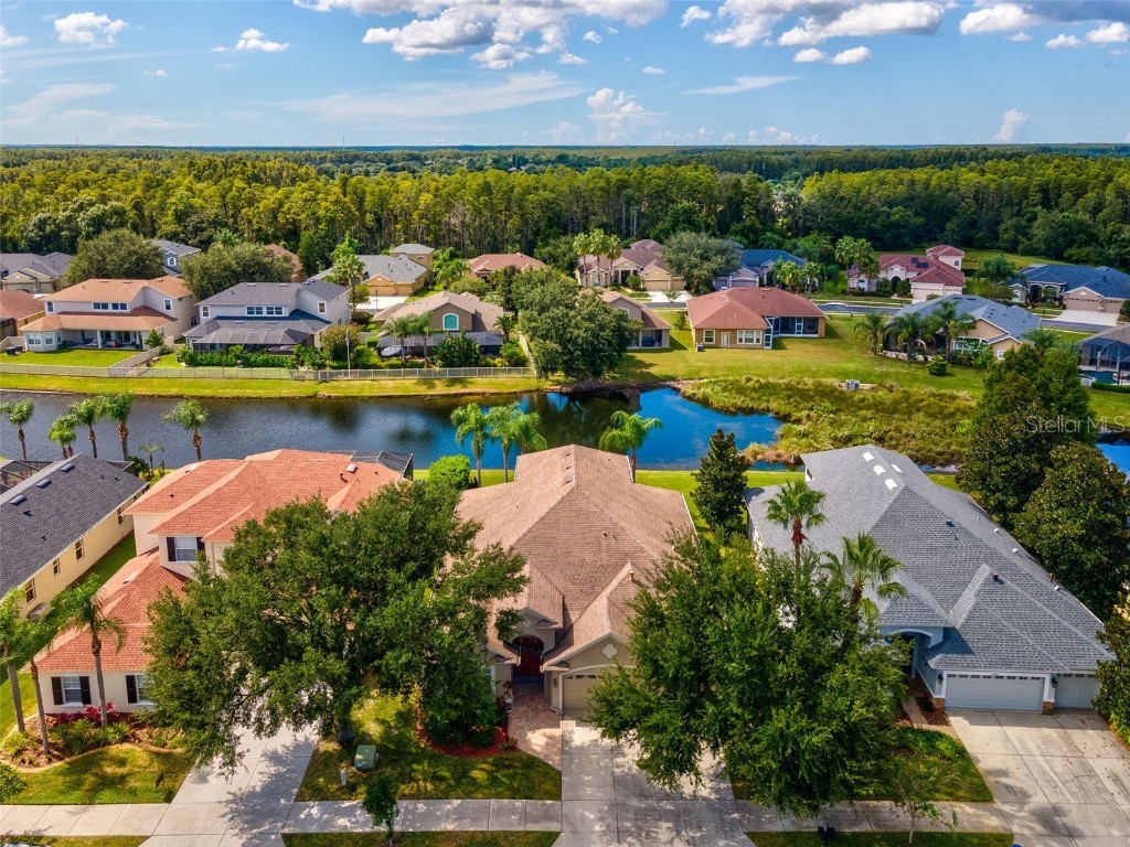 3041 Stonegate Falls Drive Land O Lakes FL 34638 W7879294 image63