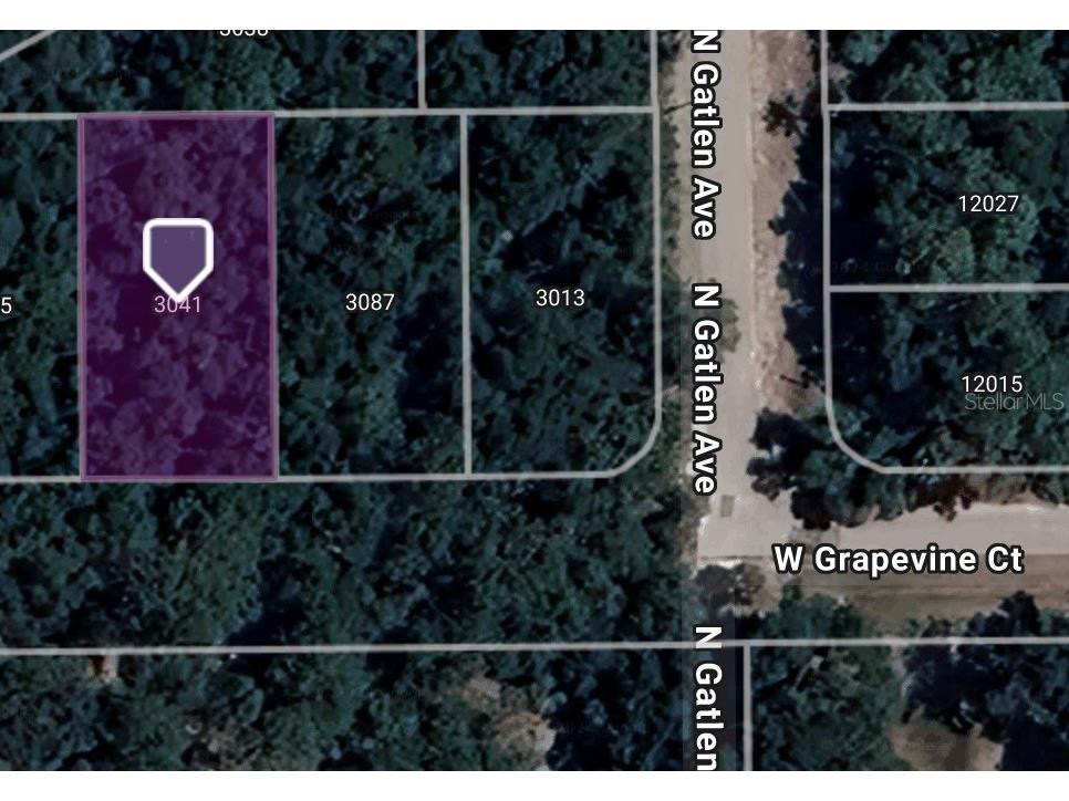 3041 W Grapevine Court Dunnellon FL 34433 TB8334279 image1