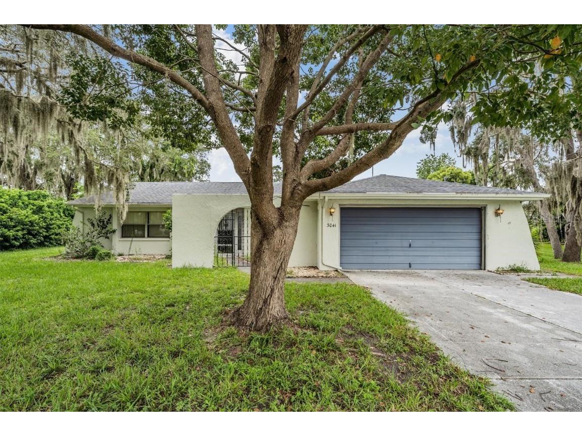 3041 Waterfall Drive Spring Hill FL 34608 T3461733 image1