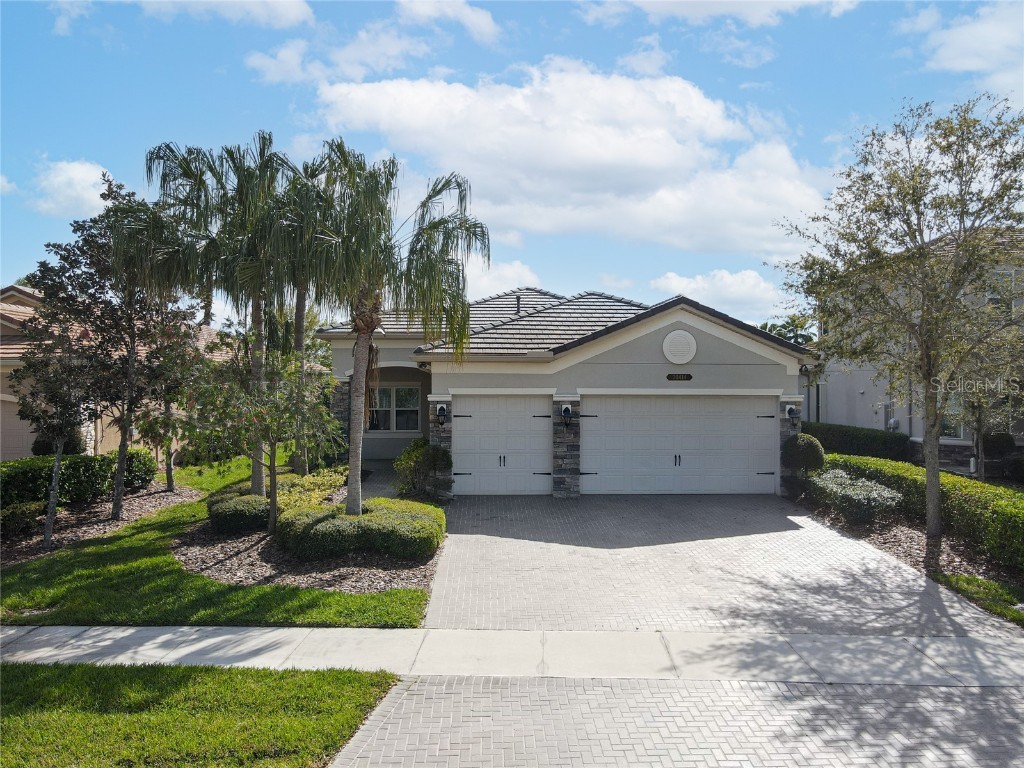 30414 Sunland Court Wesley Chapel FL 33543 T3511359 image1