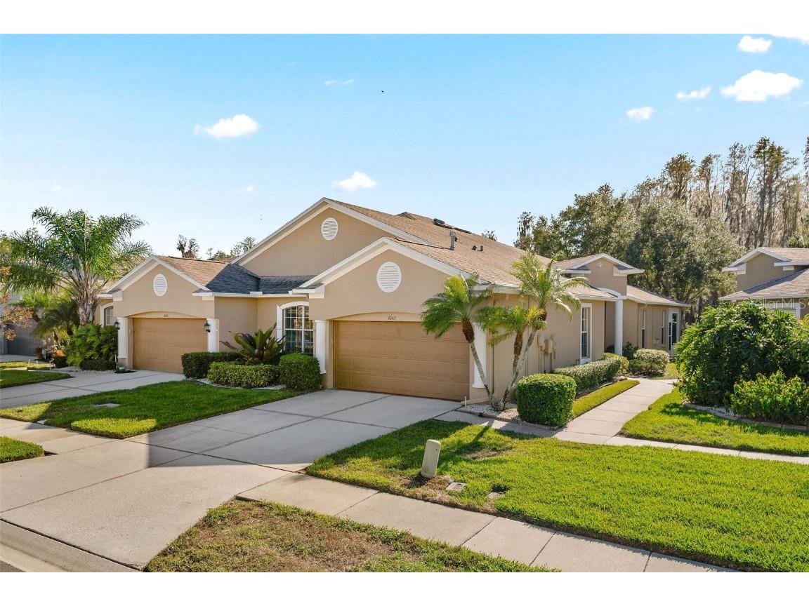 30415 Lettingwell Circle Wesley Chapel FL 33543 T3494285 image1