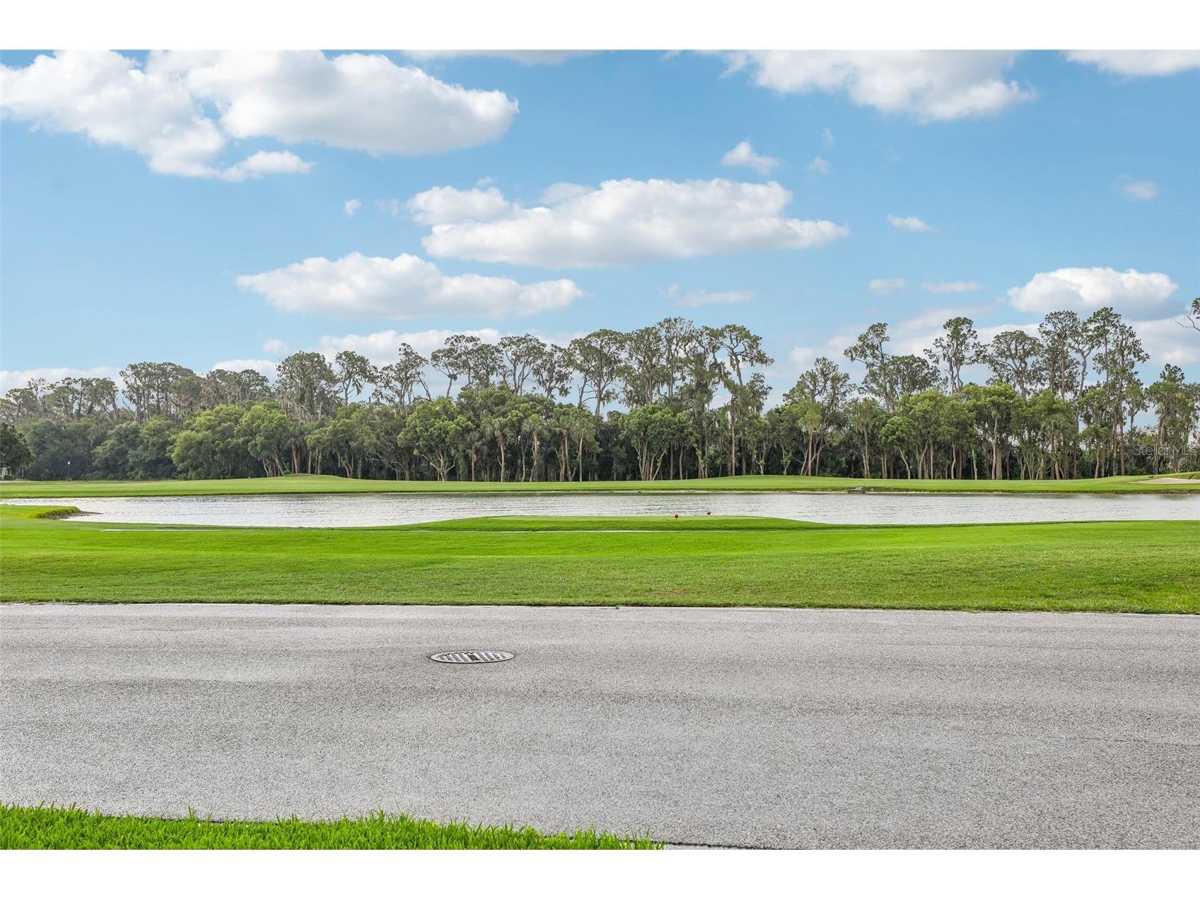 30418 Island Club Drive Deer Island FL 32778 - LAKE BEAUCLAIR S5153583 image31