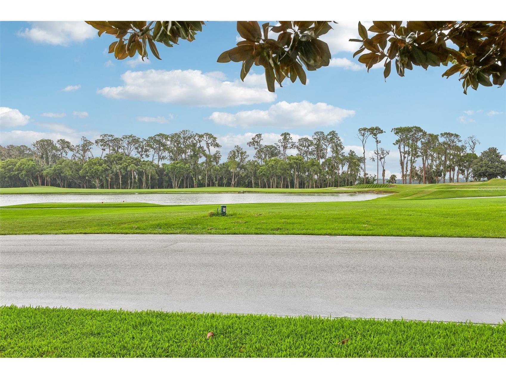 30418 Island Club Drive Deer Island FL 32778 - LAKE BEAUCLAIR S5153583 image39