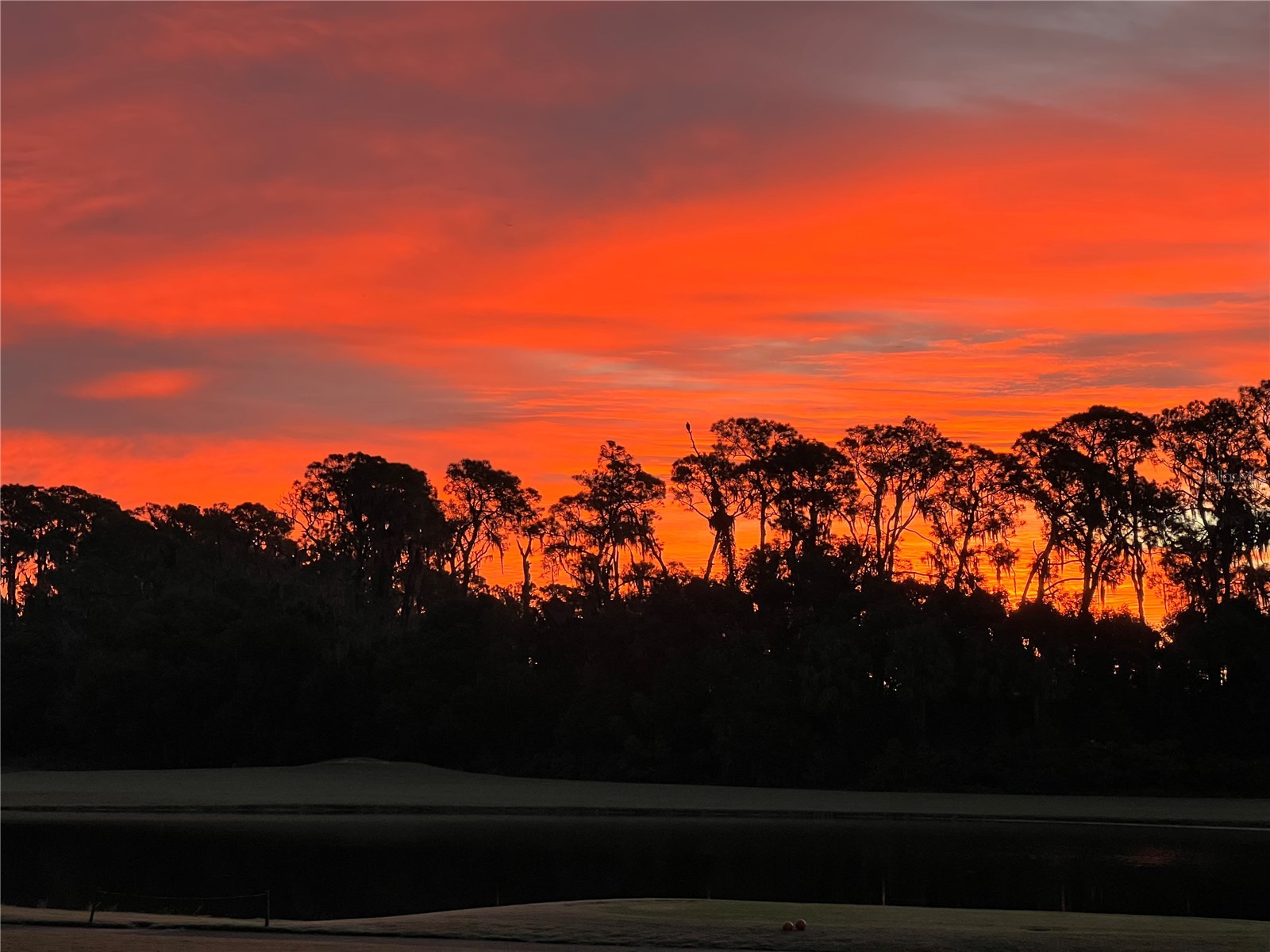 30418 Island Club Drive Deer Island FL 32778 - LAKE BEAUCLAIR S5153583 image48