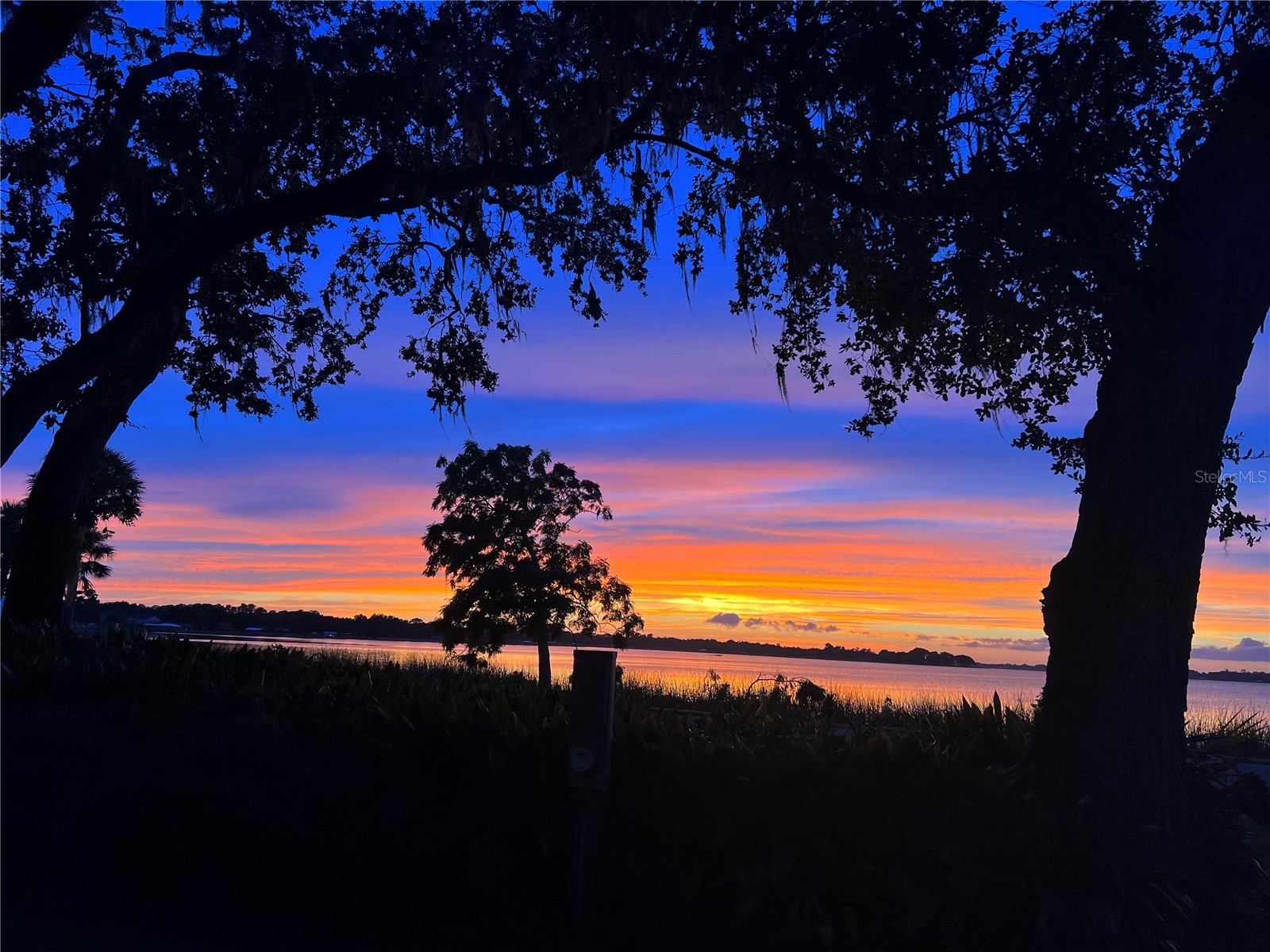 30418 Island Club Drive Deer Island FL 32778 - LAKE BEAUCLAIR S5153583 image49