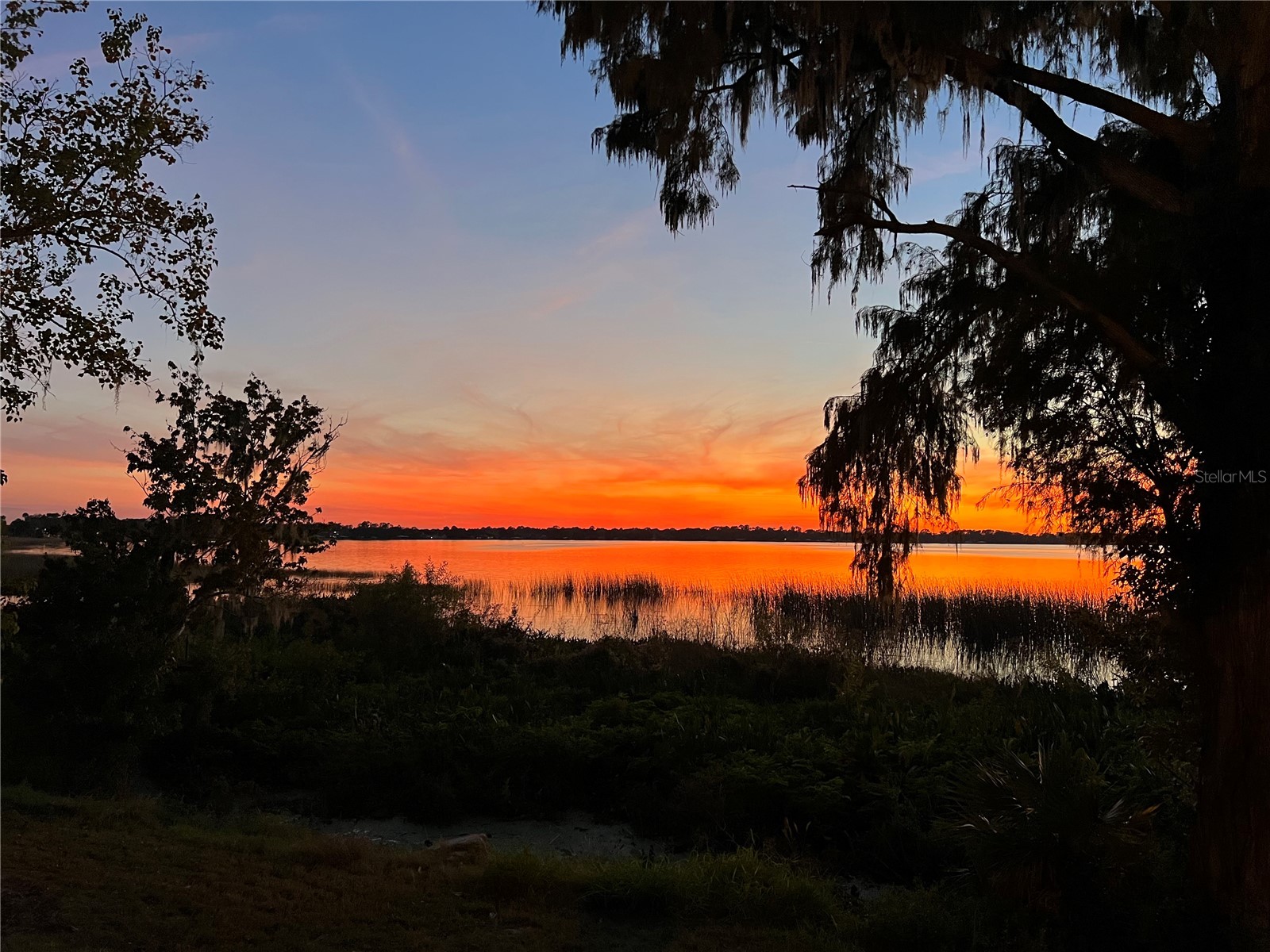 30418 Island Club Drive Deer Island FL 32778 - LAKE BEAUCLAIR S5153583 image53