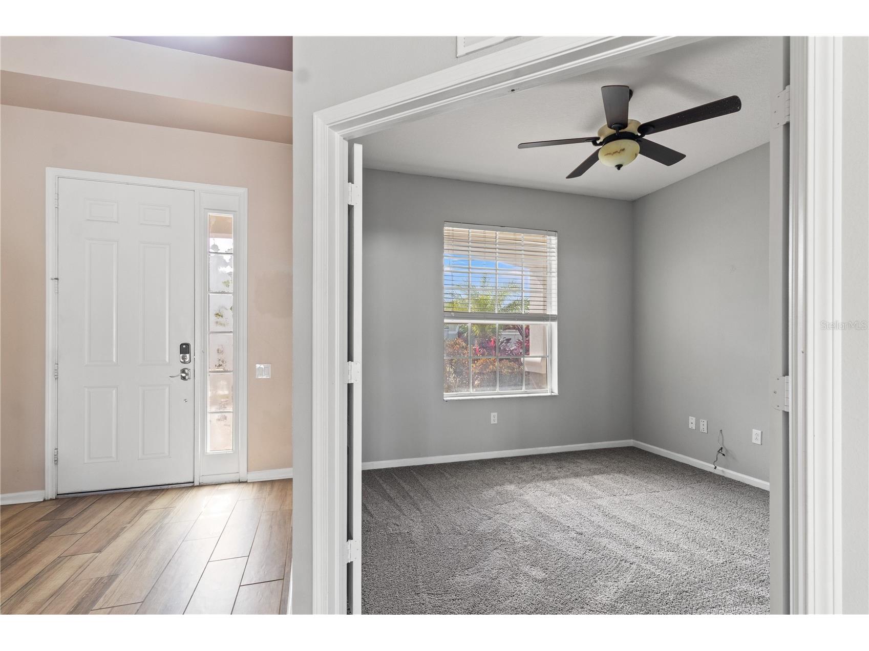 30419 Princess Bay Drive Wesley Chapel FL 33545 TB8463434 image20