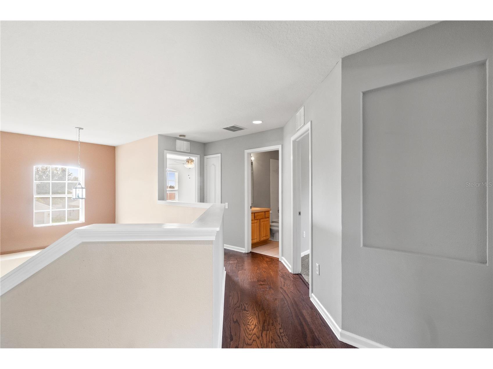 30419 Princess Bay Drive Wesley Chapel FL 33545 TB8463434 image24