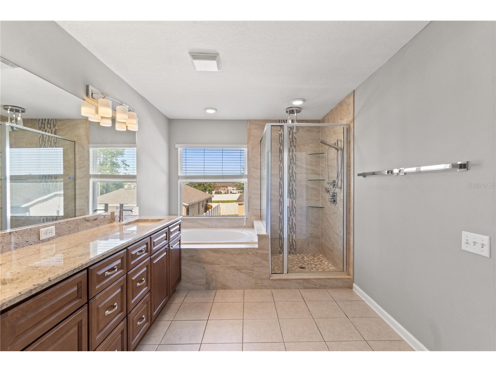 30419 Princess Bay Drive Wesley Chapel FL 33545 TB8463434 image28