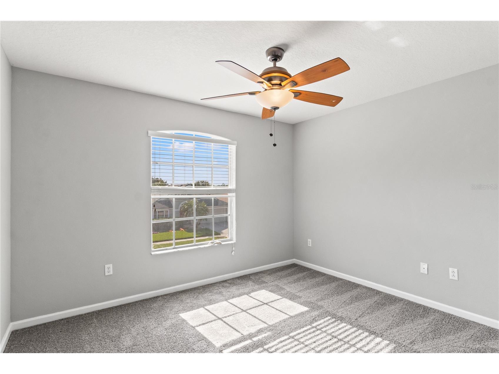 30419 Princess Bay Drive Wesley Chapel FL 33545 TB8463434 image34