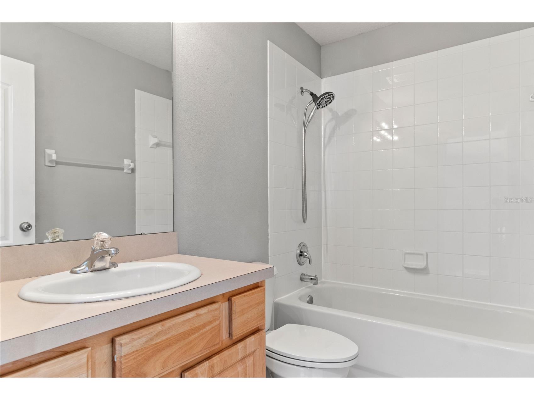 30419 Princess Bay Drive Wesley Chapel FL 33545 TB8463434 image35