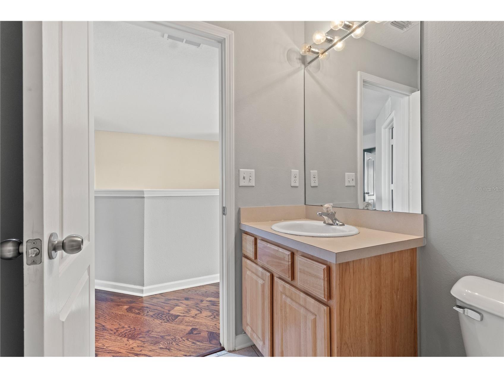30419 Princess Bay Drive Wesley Chapel FL 33545 TB8463434 image36