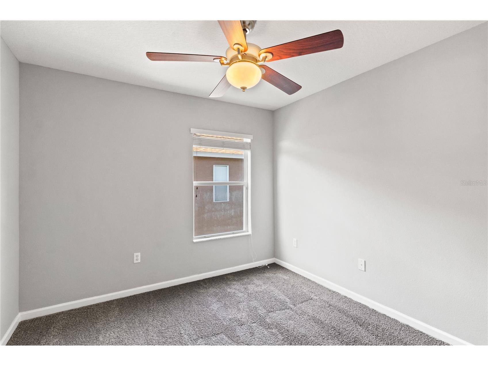 30419 Princess Bay Drive Wesley Chapel FL 33545 TB8463434 image37