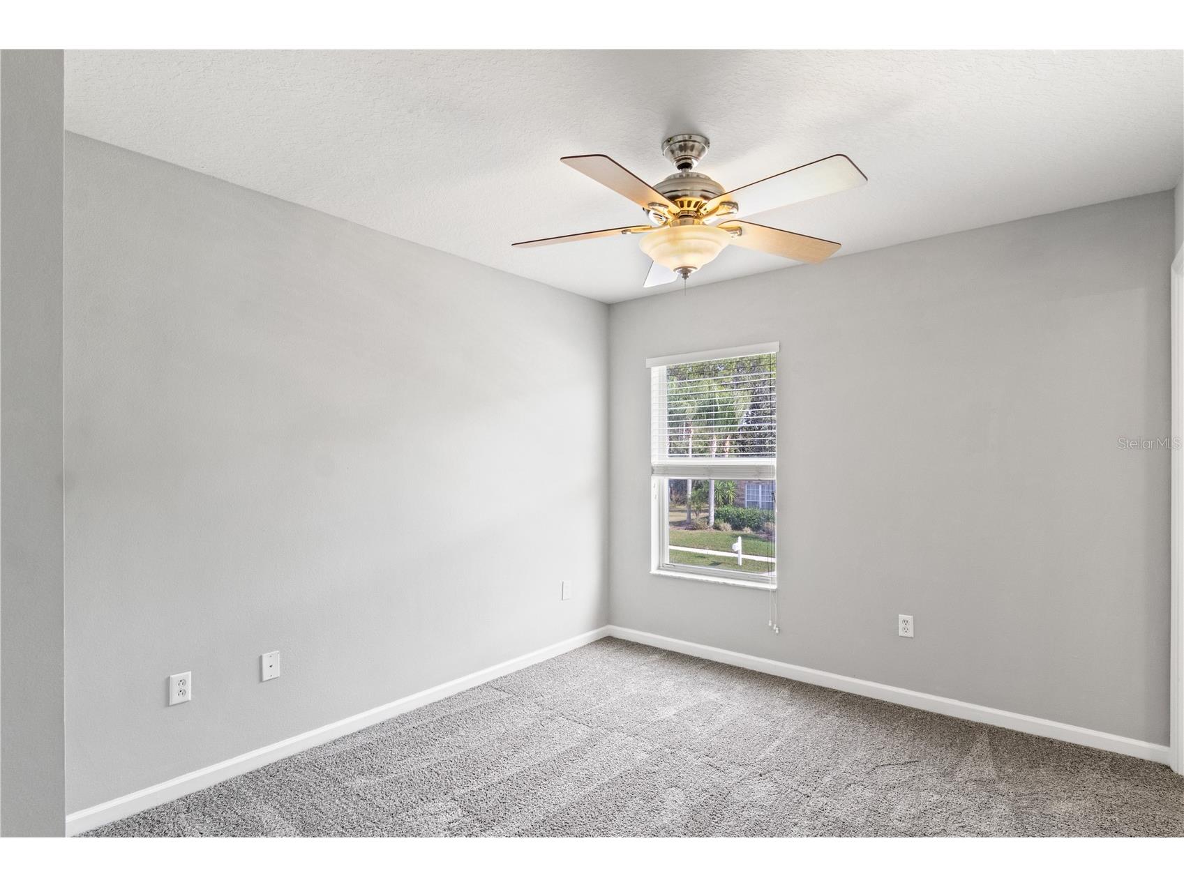 30419 Princess Bay Drive Wesley Chapel FL 33545 TB8463434 image39