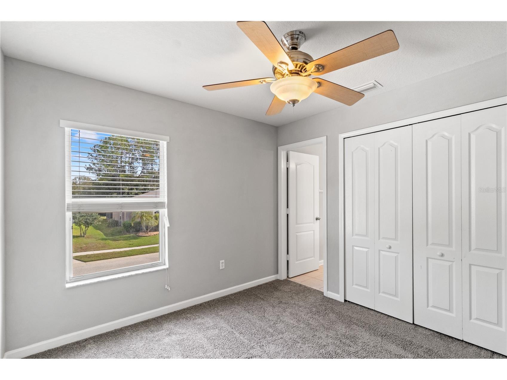 30419 Princess Bay Drive Wesley Chapel FL 33545 TB8463434 image40