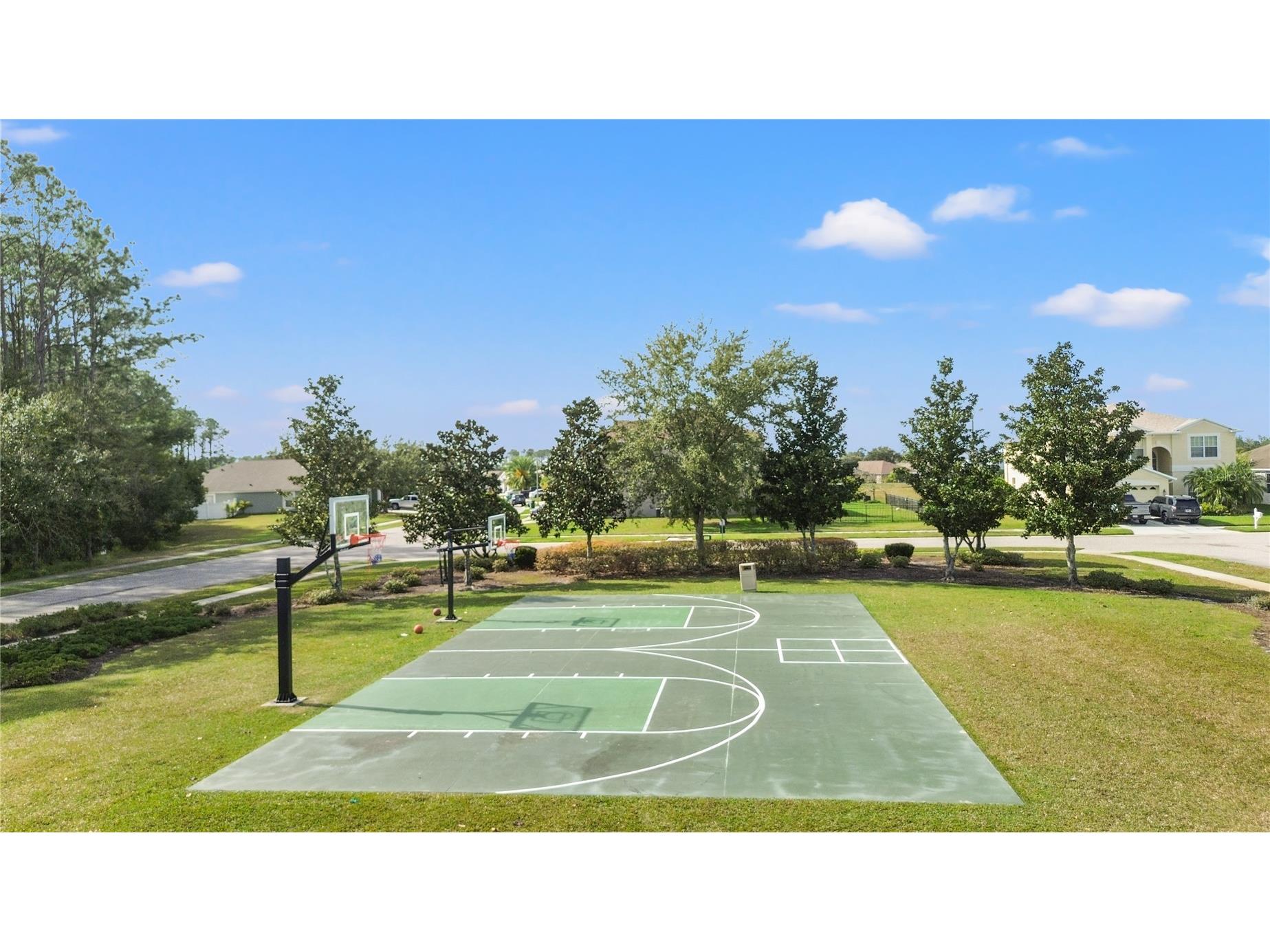 30419 Princess Bay Drive Wesley Chapel FL 33545 TB8463434 image62