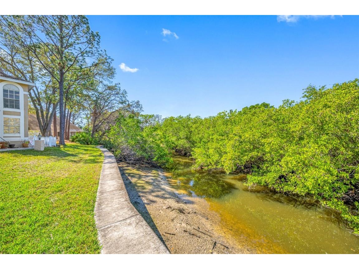 3042 Branch Drive Clearwater FL 33760 TB8350706 image3