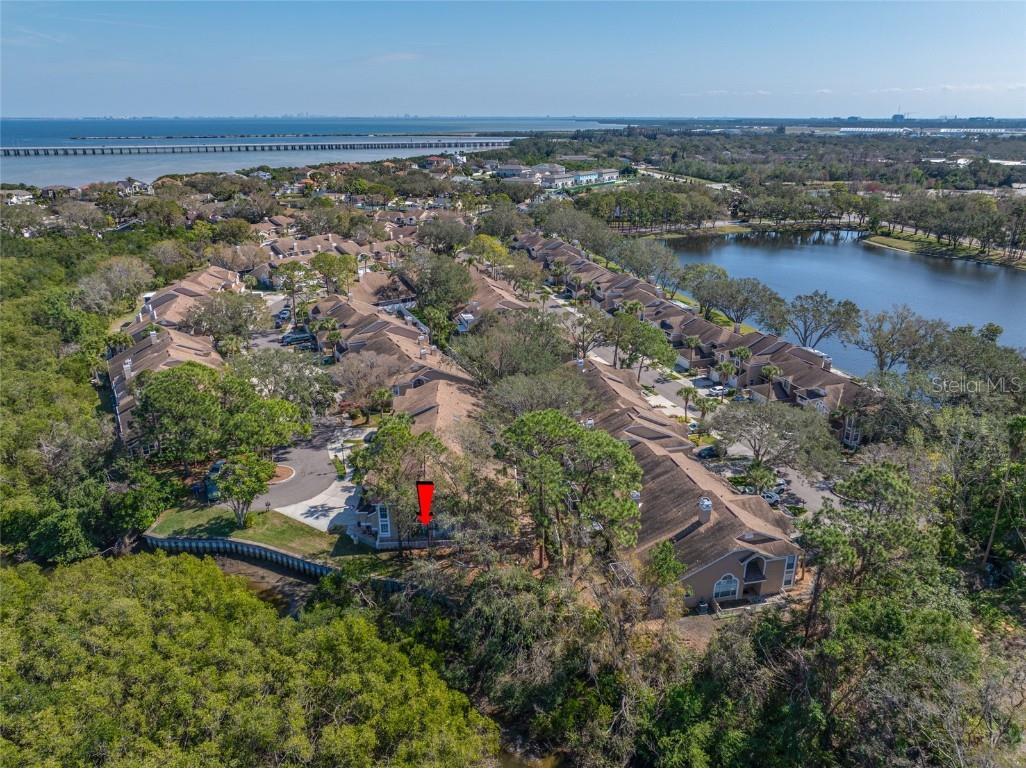 3042 Branch Drive Clearwater FL 33760 TB8350706 image62