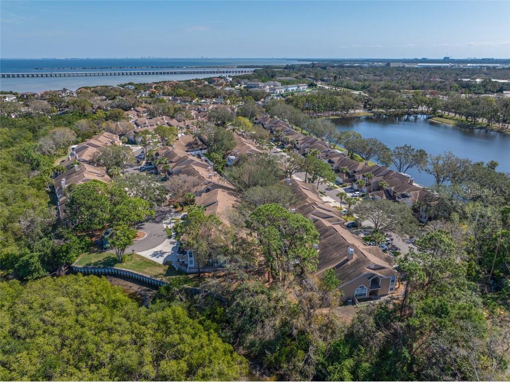 3042 Branch Drive Clearwater FL 33760 TB8350706 image63