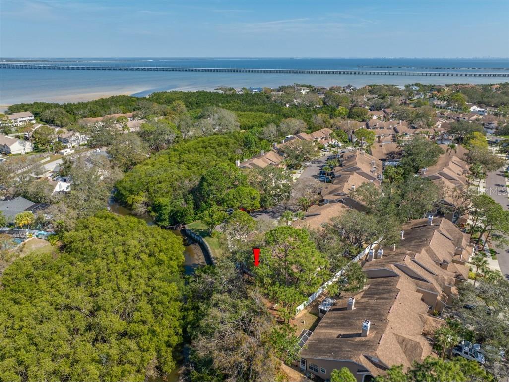 3042 Branch Drive Clearwater FL 33760 TB8350706 image64