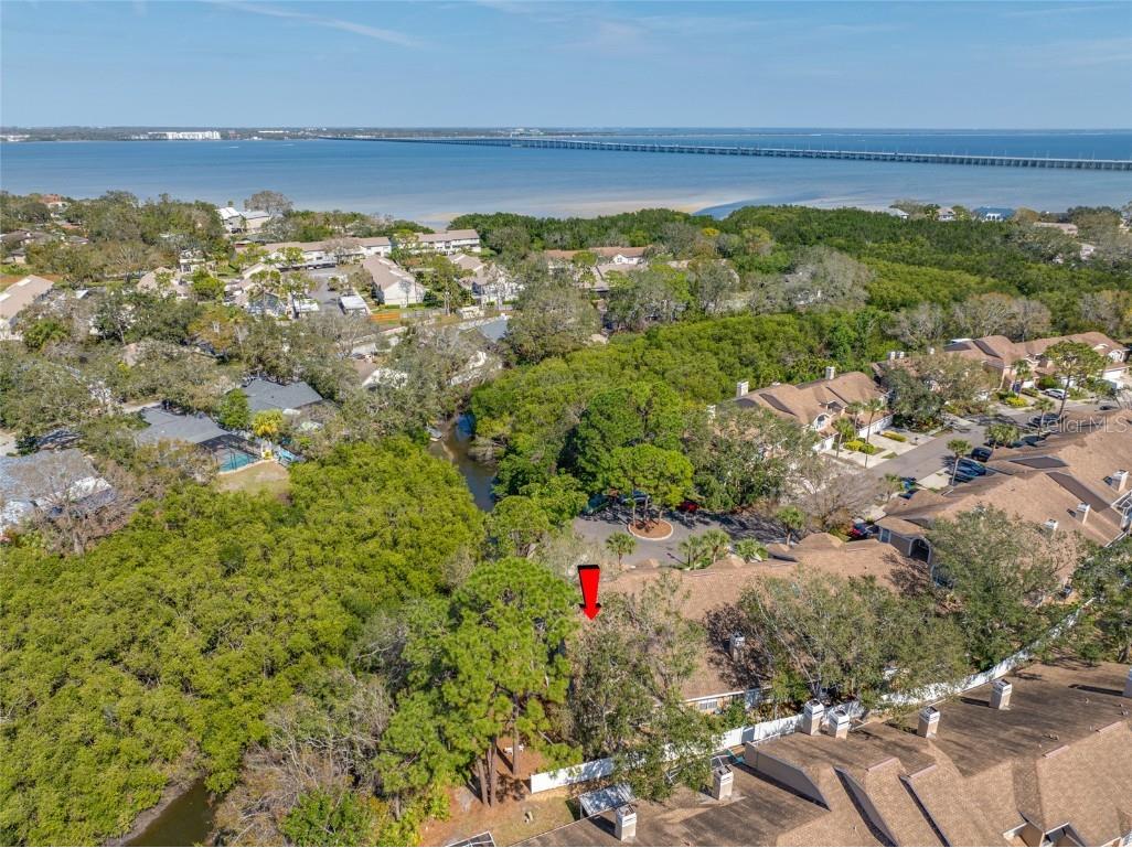 3042 Branch Drive Clearwater FL 33760 TB8350706 image65