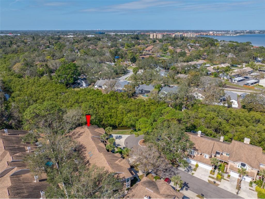 3042 Branch Drive Clearwater FL 33760 TB8350706 image66