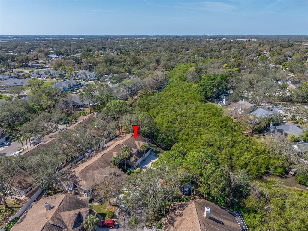 3042 Branch Drive Clearwater FL 33760 TB8350706 image67