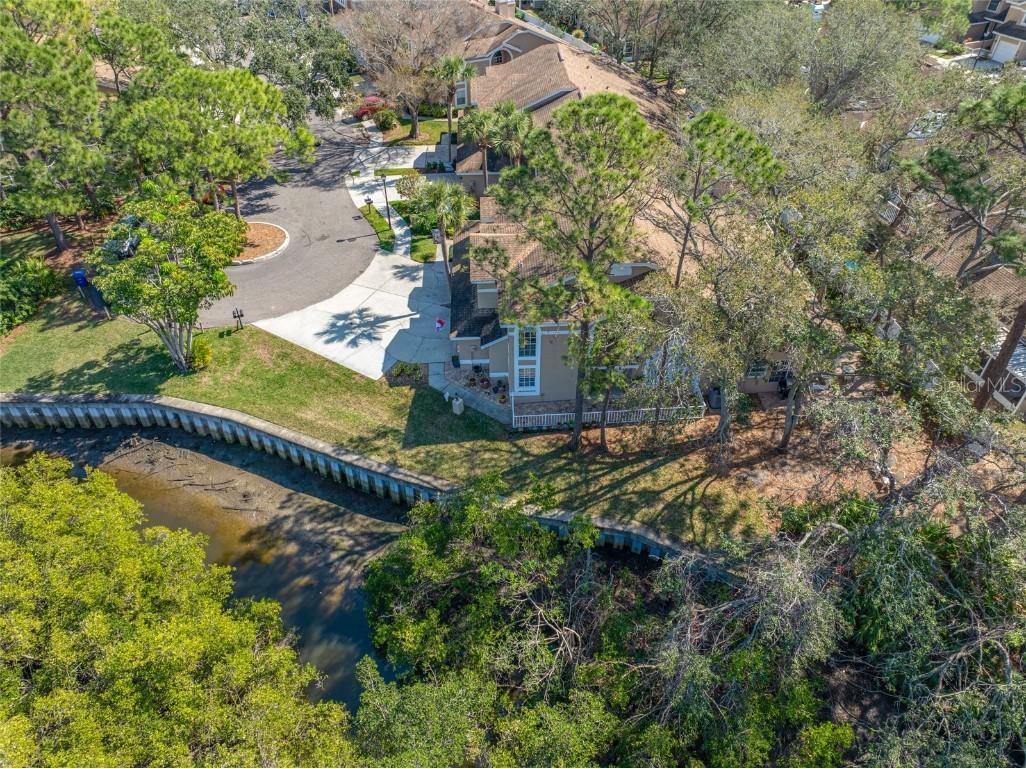 3042 Branch Drive Clearwater FL 33760 TB8350706 image71