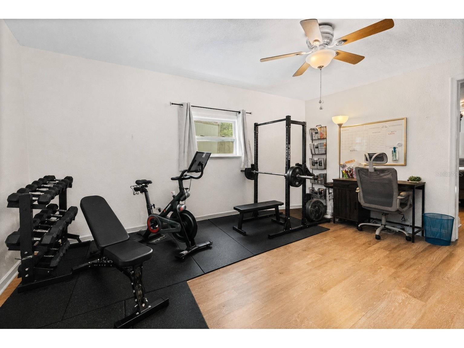 3042 Hanna Court Palm Harbor FL 34684 TB8508238 image11
