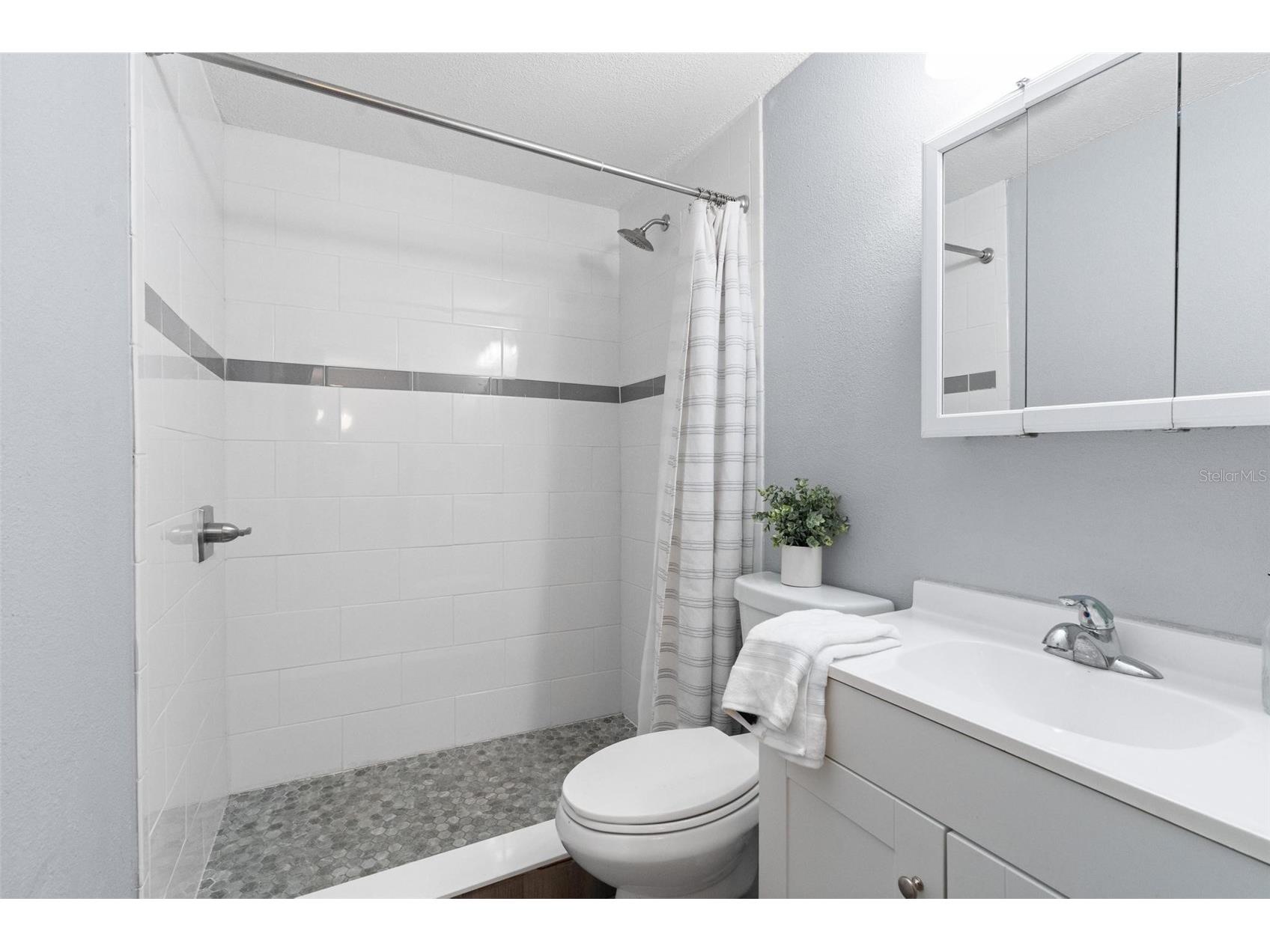 3042 Hanna Court Palm Harbor FL 34684 TB8508238 image14