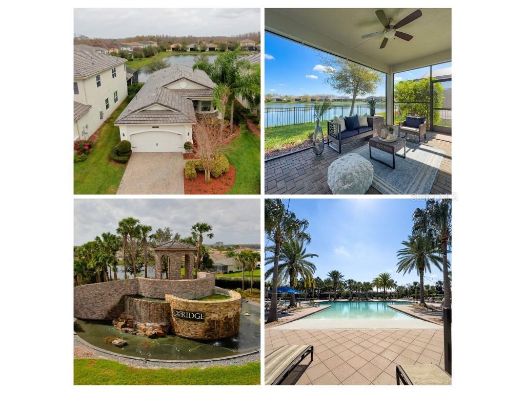30423 Ceasar Park Drive Wesley Chapel FL 33543 TB8362420 image1