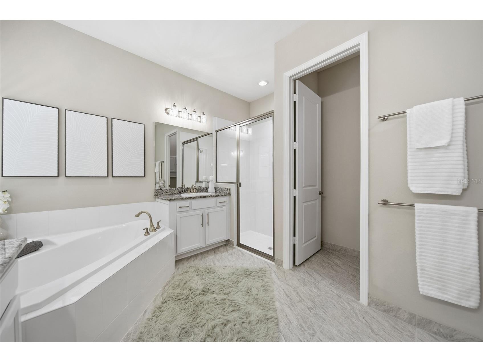 30423 Tristania Court Wesley Chapel FL 33543 TB8505571 image26