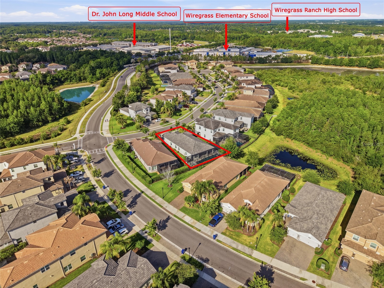 30423 Tristania Court Wesley Chapel FL 33543 TB8505571 image3