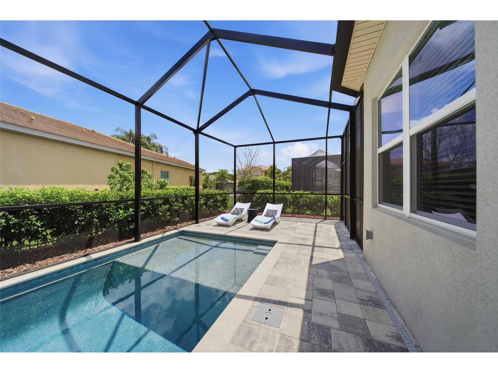 30423 Tristania Court Wesley Chapel FL 33543 TB8505571 image41