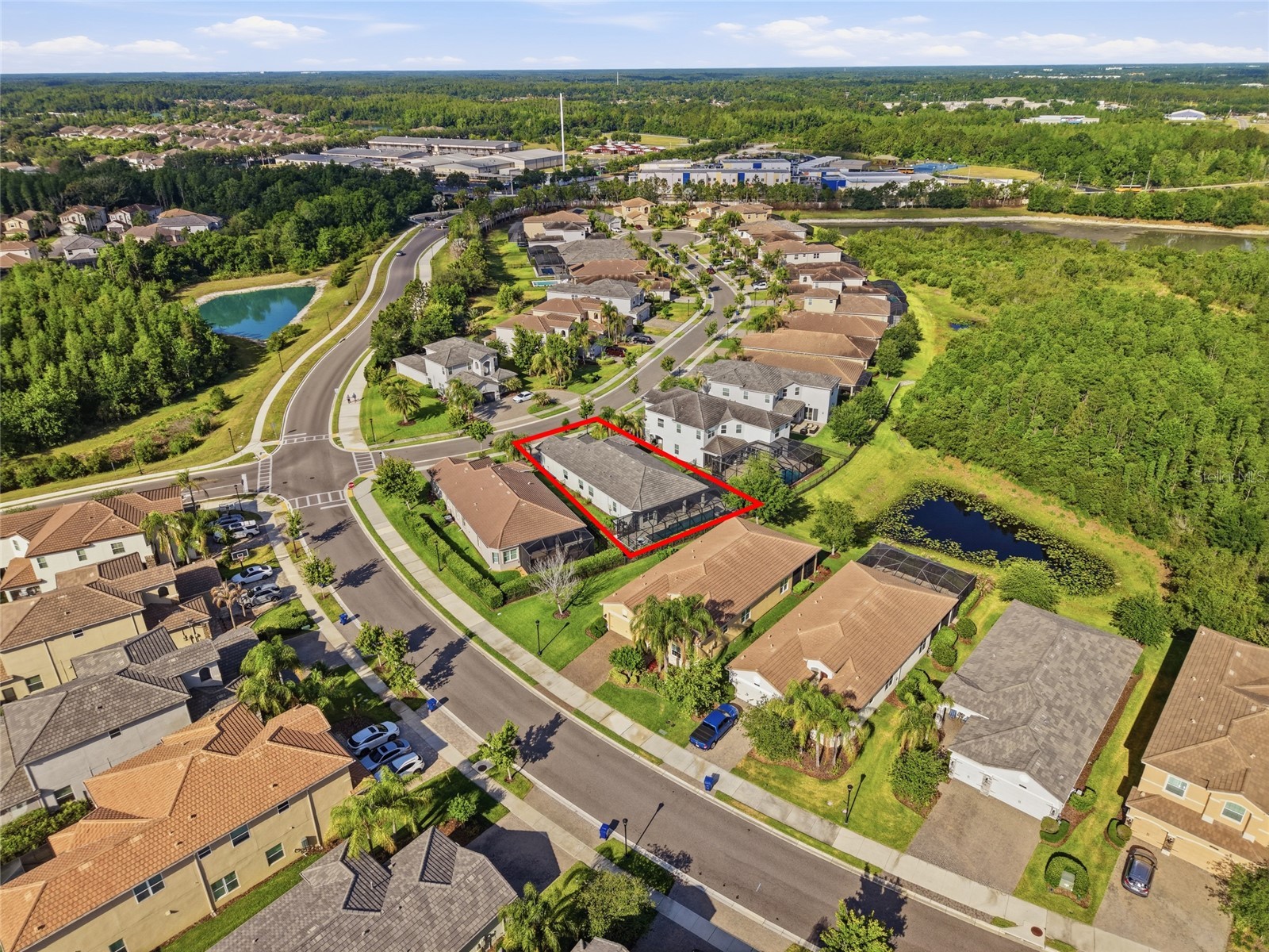 30423 Tristania Court Wesley Chapel FL 33543 TB8505571 image45
