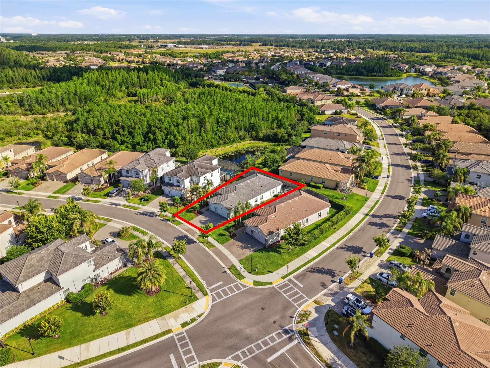 30423 Tristania Court Wesley Chapel FL 33543 TB8505571 image46